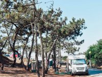 Parque de Campismo Municipal da Praia da Tocha