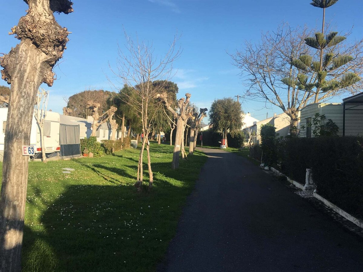 Parque De Campismo Porto Covo Alan Rogers