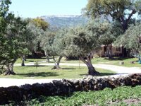 Camping Asseiceira