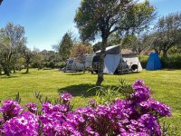 Camping Quinta da Cerejeira
