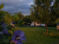Camping de Oude Wilg