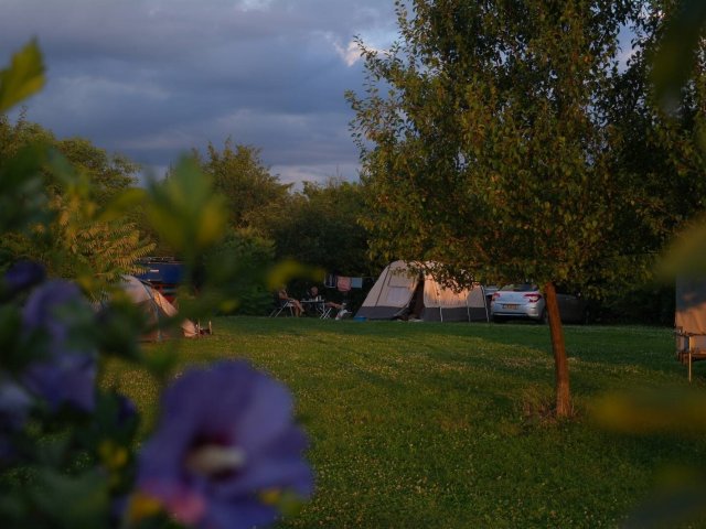 Camping de Oude Wilg