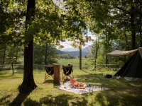 Forest Camping Mozirje