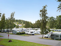 First Camp Kolmården