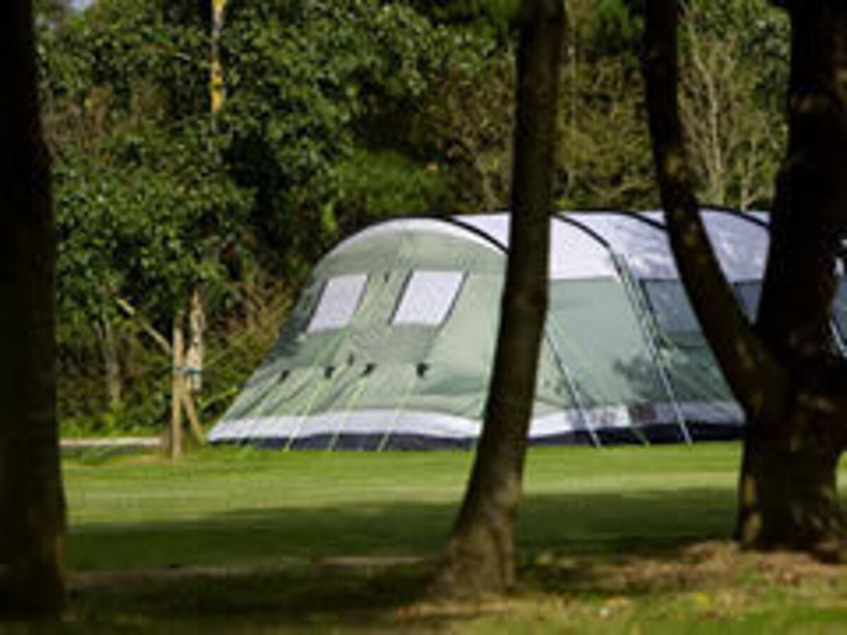 Monkey Tree Holiday Park Alan Rogers