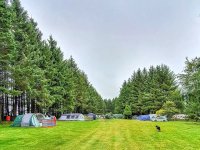 The Colliford Tavern Campsite