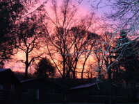 Ruthern Valley Holidays