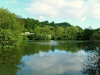 Newberry Valley Park