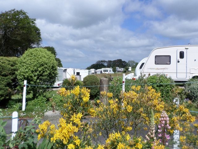 Island Lodge Caravan & Camping Site