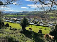 Parkers Farm Holiday Park