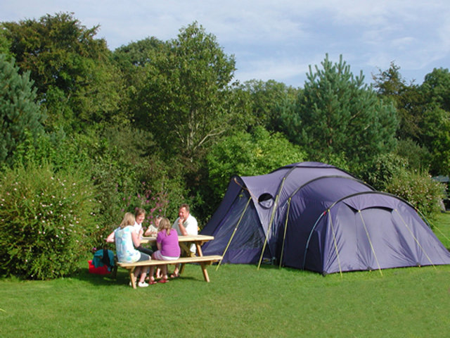 Oakdown Touring & Holiday Caravan Park
