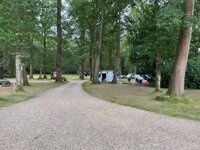 Alpine Grove Touring Park