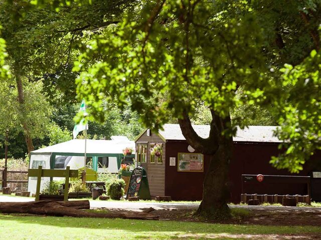 Postern Hill Camping in the Forest