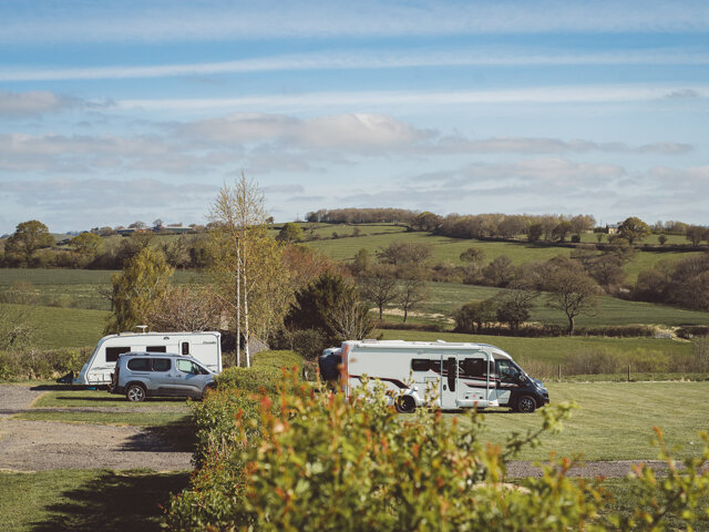 Pineapple Farm Holidays