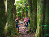 Merley Court Park