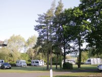 Whitemead Caravan Park