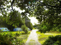 Holmsley Campsite