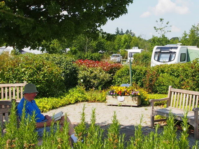 New Forest Caravan and Motorhome Club Centenary Site