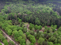 Setthorns Camping in the Forest