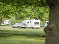 Ashurst Camping In The Forest