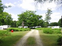 Matley Wood Camping in the Forest