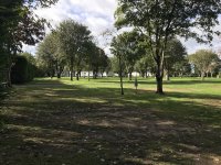 Landguard Camping