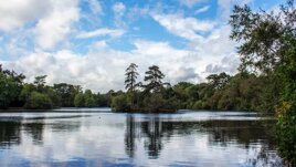 California Chalet and Touring Park