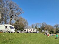 Bluebell Coppice Park
