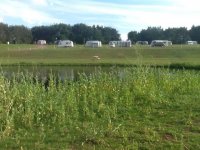 Steadings Park Camping and Caravan Site