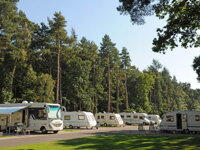 Thetford Forest Caravan and Motorhome Club Site