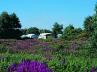 Kelling Heath Holiday Park