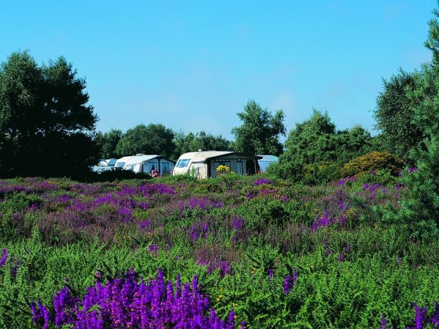 Kelling Heath Holiday Park