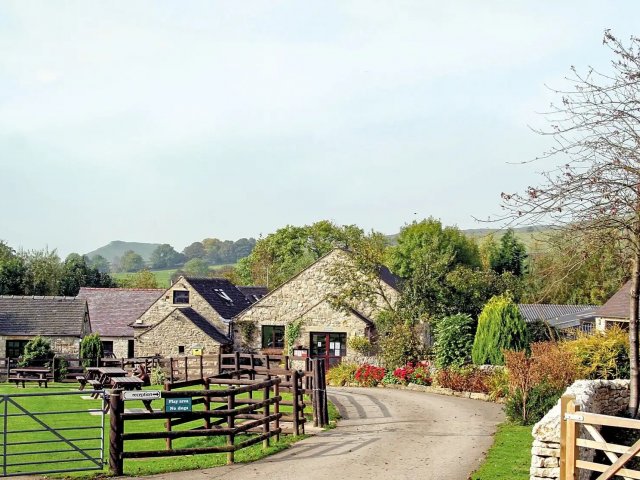Ashbourne Heights