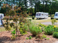 Newhaven Holiday Park