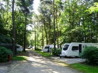 Woodland Caravan Park