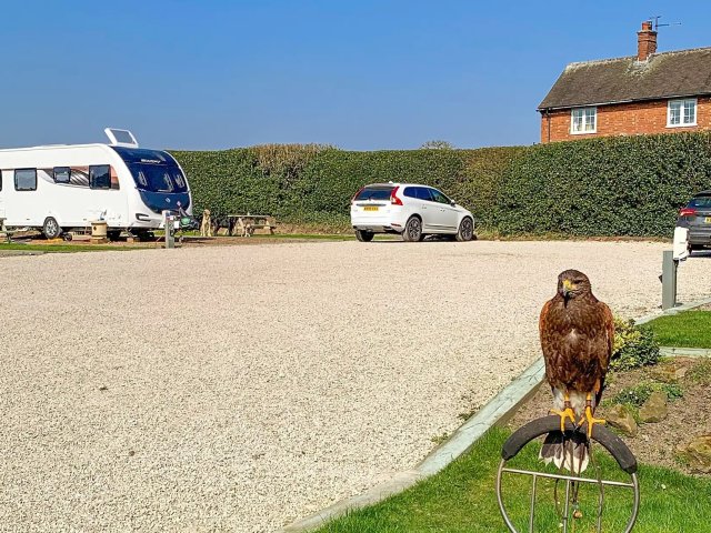 Irondale Touring Caravans and Campsite