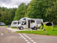 Clumber Park Caravan and Motorhome Club Site