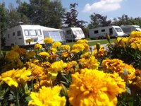 Longnor Wood Holiday Park