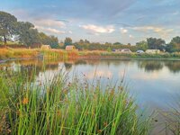 Hadley Park Caravan and Camping