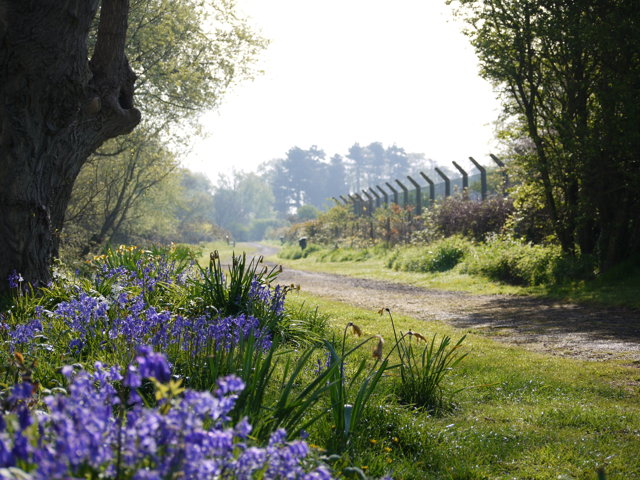 Willowbank Touring Park
