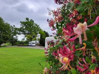 The Larches Caravan Park