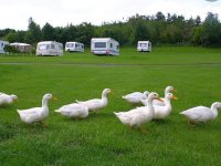 Highburn House Caravan Park