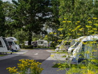 Pembrey Country Park Caravan and Motorhome Club Site