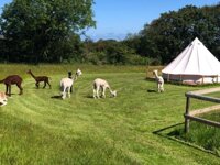 Glyncoch Isaf Farm Camping