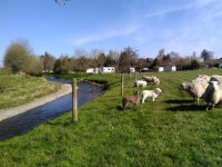 Dolswydd Caravan Park