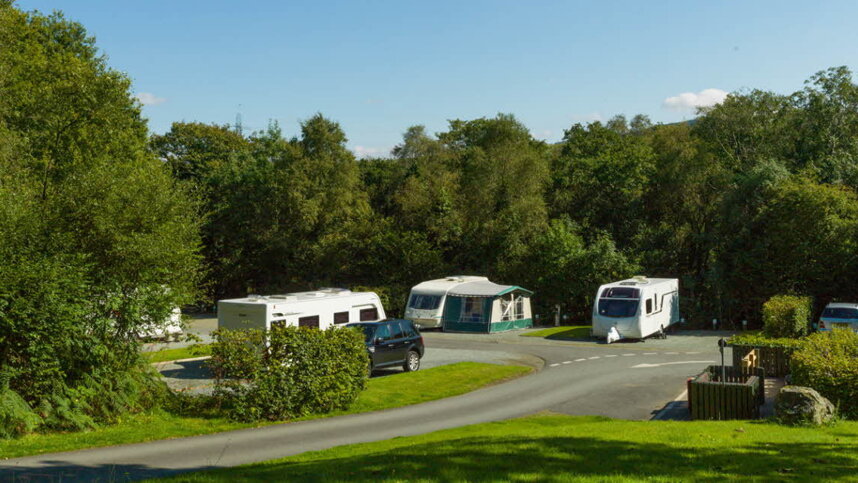 Coed y shop brenin camping