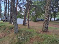 Cannich Woodland Camping