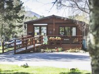 Glenmore Camping in the Forest