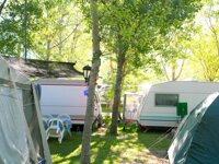 Tollymore Forest Caravan Park
