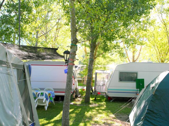Tollymore Forest Caravan Park